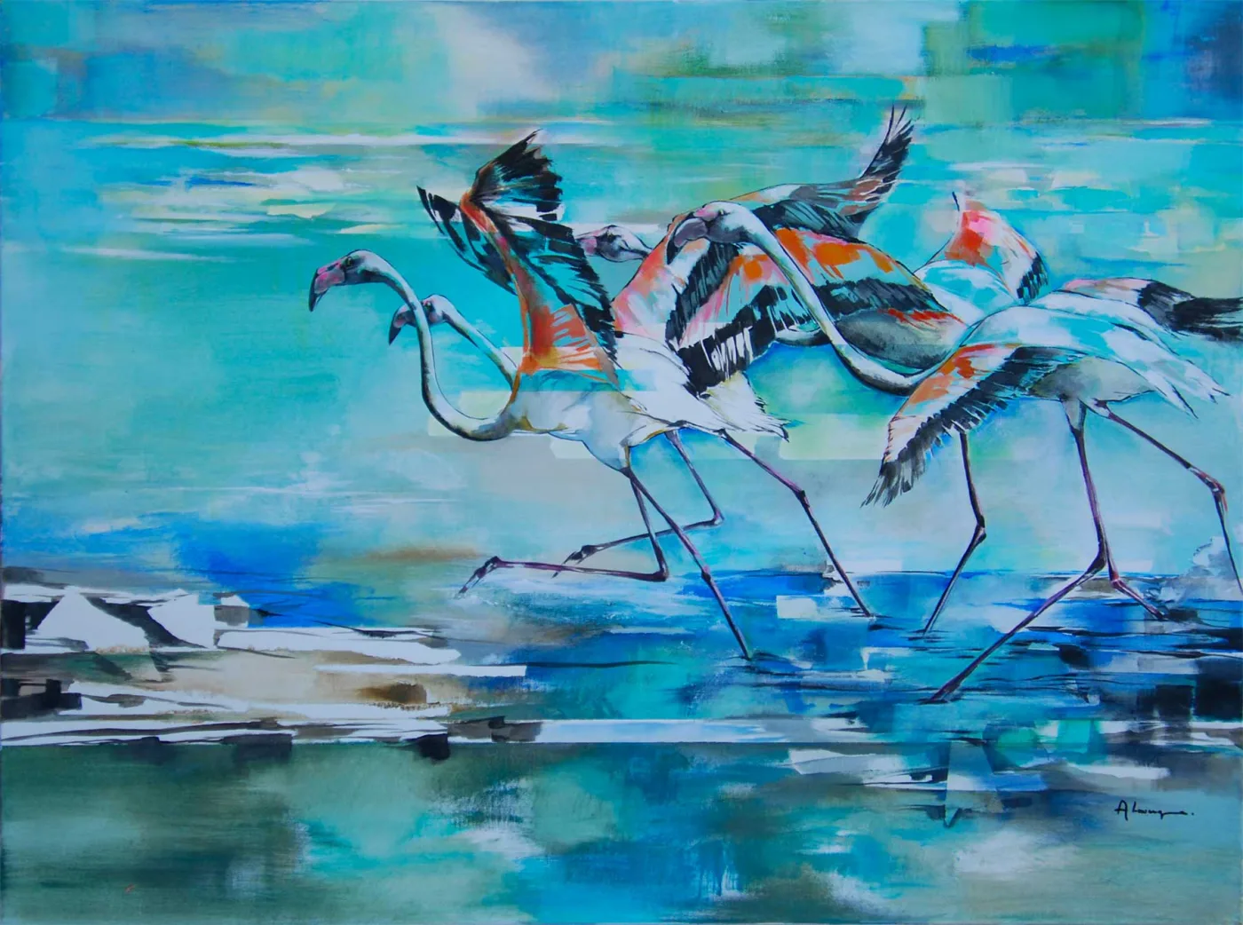Les flamants
